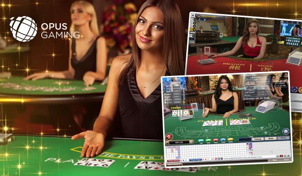 Có Thể Bạn Chưa Biết Dealer Là Gì? Những Điều Thú Vị Về Dealer Ku Casino